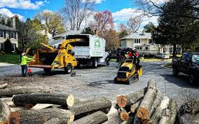 Best Tree Mulching  in Crab Orchard, WV
