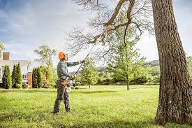 Best Hazardous Tree Removal  in Crab Orchard, WV